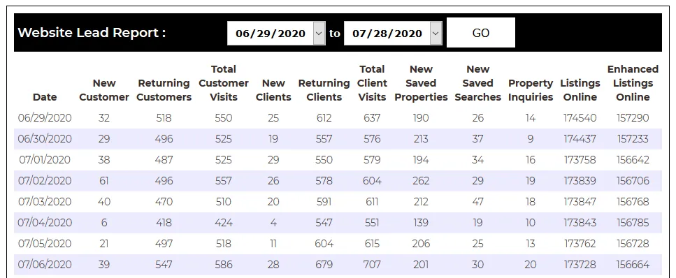 WebsiteLeadReport