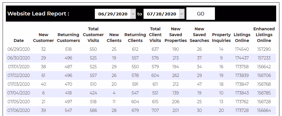 WebsiteLeadReport